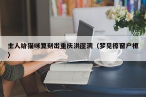 主人给猫咪复刻出重庆洪崖洞（梦见擦窗户框）
