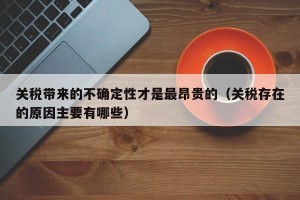 关税带来的不确定性才是最昂贵的（关税存在的原因主要有哪些）