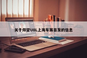 关于仰望U8L上海车展首发的信息