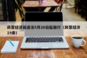 民营经济促进法5月20日起施行（民营经济19条）