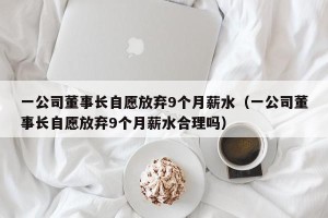 一公司董事长自愿放弃9个月薪水（一公司董事长自愿放弃9个月薪水合理吗）